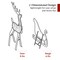 Best Choice Products Lighted 2D Reindeer & Sleigh Set Outdoor Décor w/ Warm White LED Lights